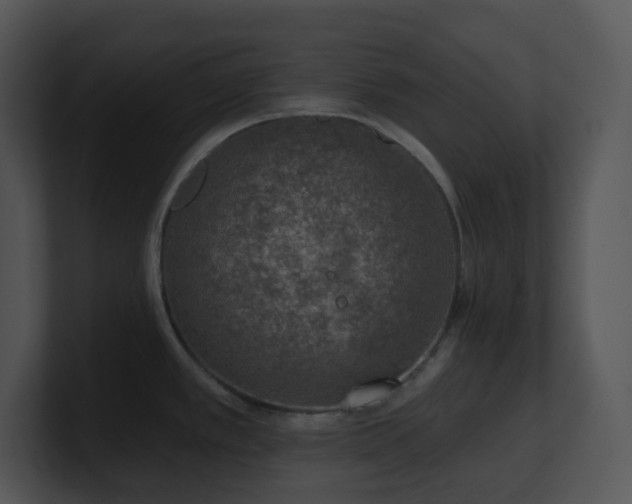 X0000100911389200806241304