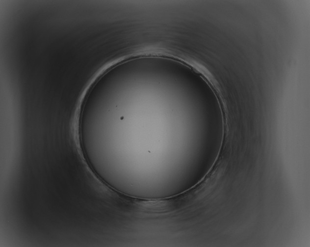 X0000100911392200806241304