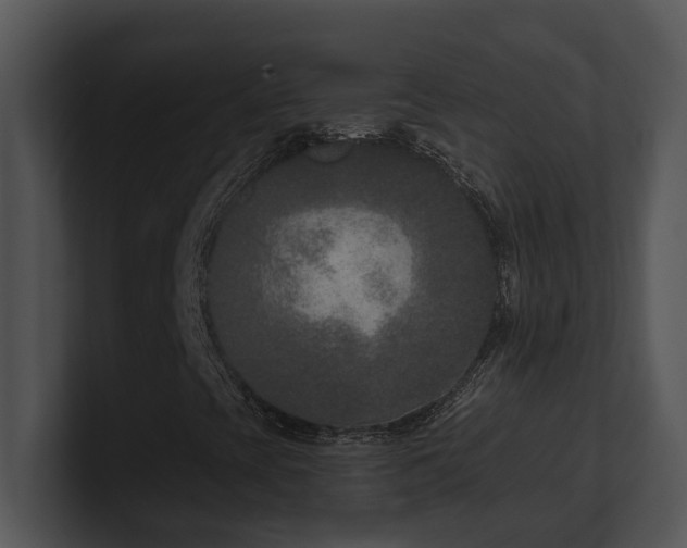 X0000100911393200806241303