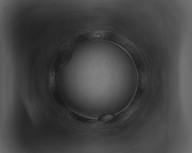 X0000100911394200806241303