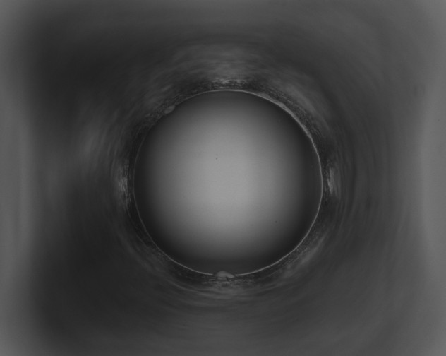 X0000100911396200806241303