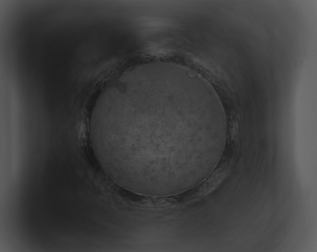 X0000100911397200806241303