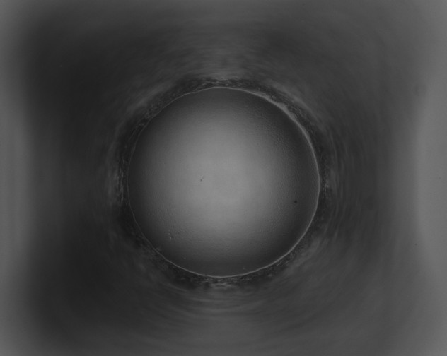 X0000100911398200806241303