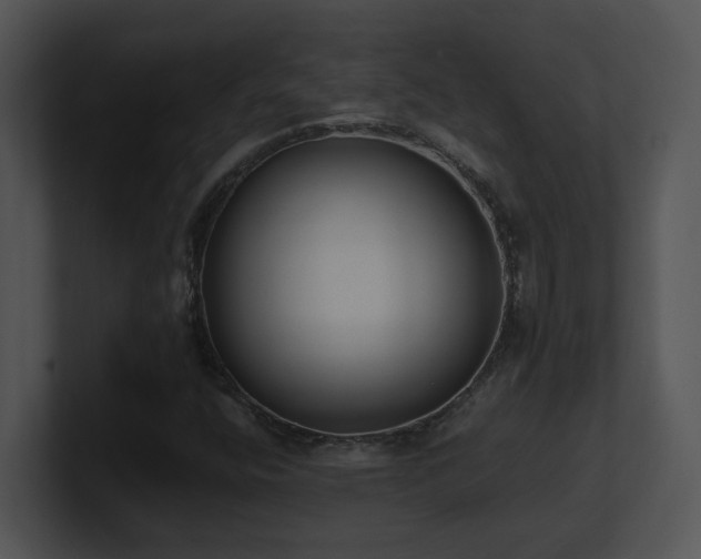 X0000100911400200806241303