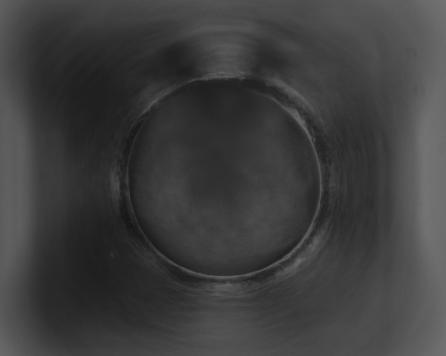 X0000100911401200806241303