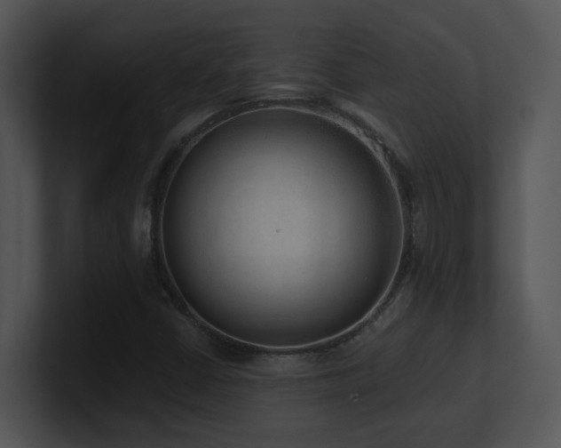 X0000100911402200806241303