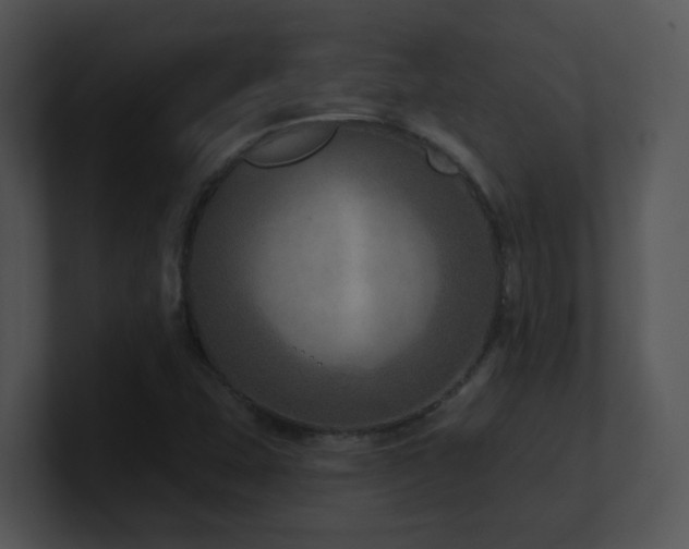 X0000100911407200806241303