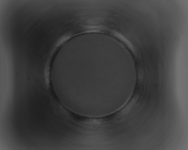 X0000100911411200806241303