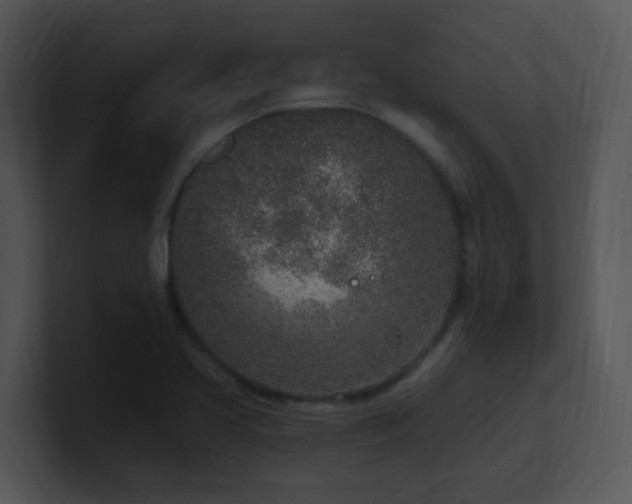 X0000100911413200806241303