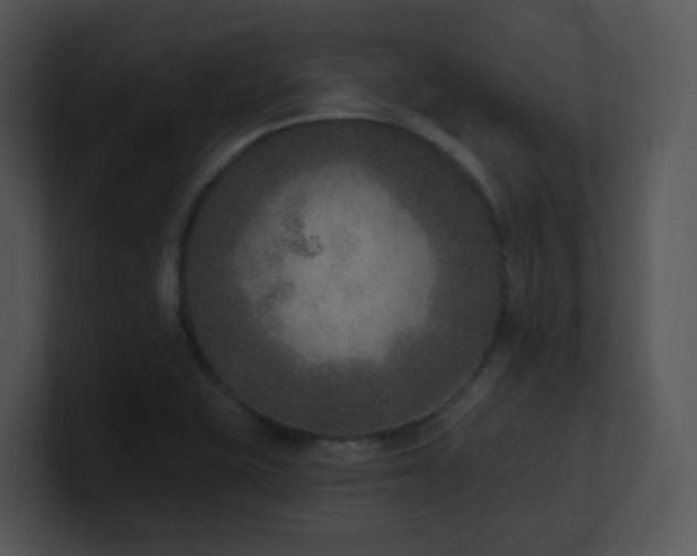 X0000100911415200806241303