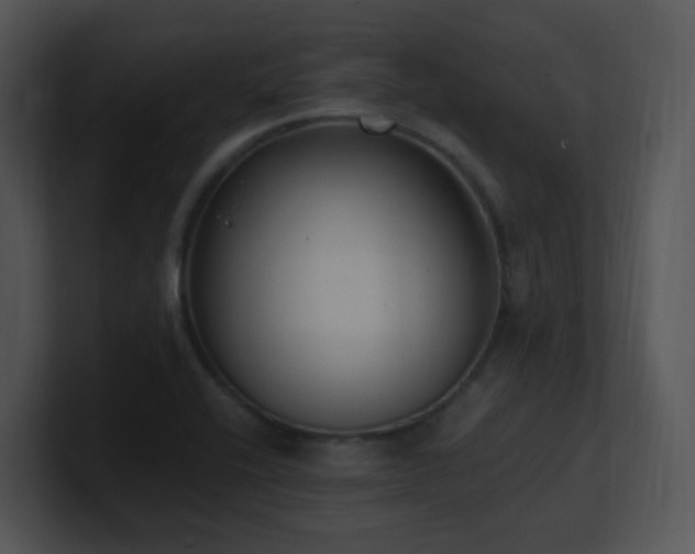 X0000100911416200806241303