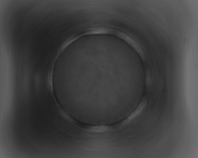 X0000100911417200806241303