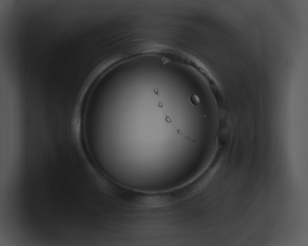 X0000100911418200806241303