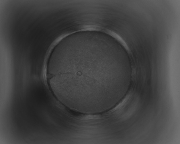 X0000100911419200806241303