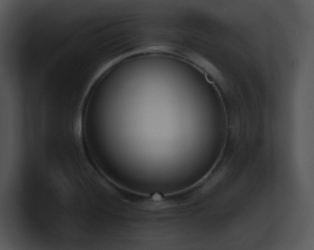 X0000100911420200806241303