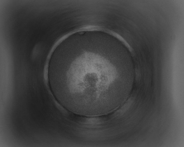 X0000100911421200806241303
