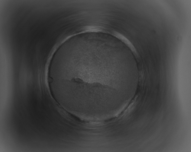 X0000100911427200806241304