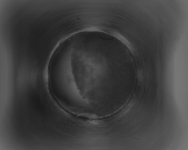 X0000100911428200806241304