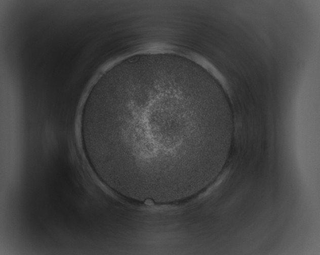X0000100911429200806241304
