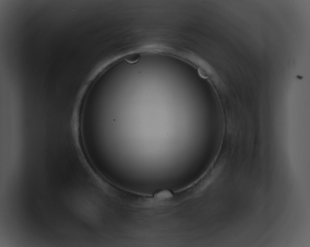 X0000100911430200806241304
