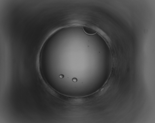 X0000100911431200806241304