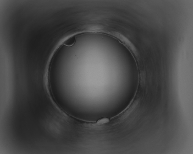X0000100911432200806241304