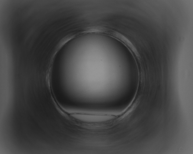 X0000100911433200806241304