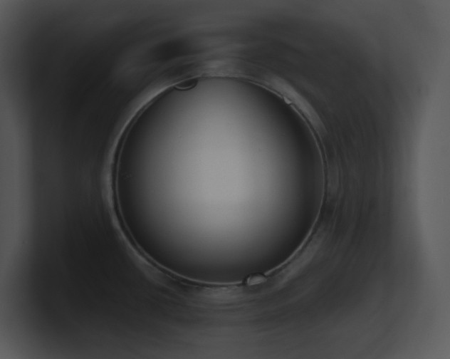 X0000100911434200806241304