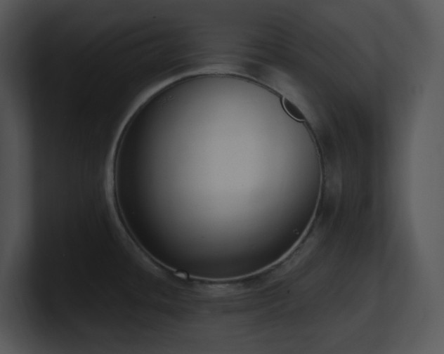 X0000100911436200806241304
