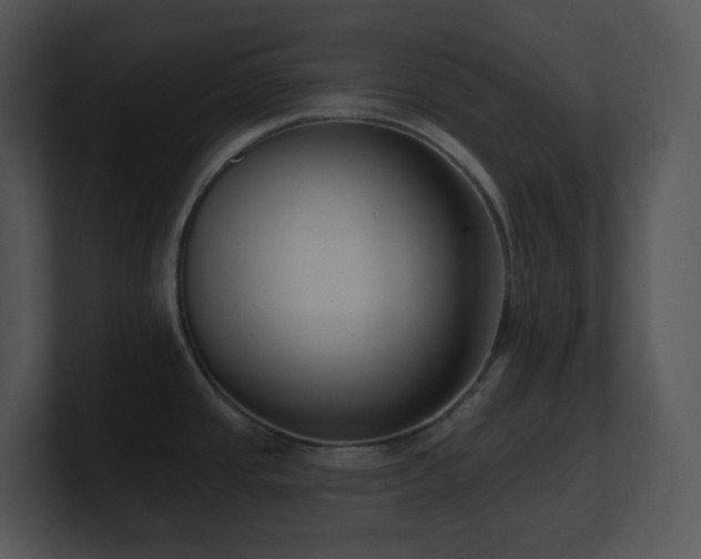X0000100911437200806241304