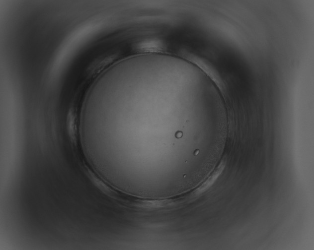 X0000100911438200806241304