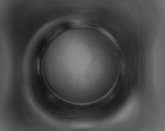 X0000100911439200806241304