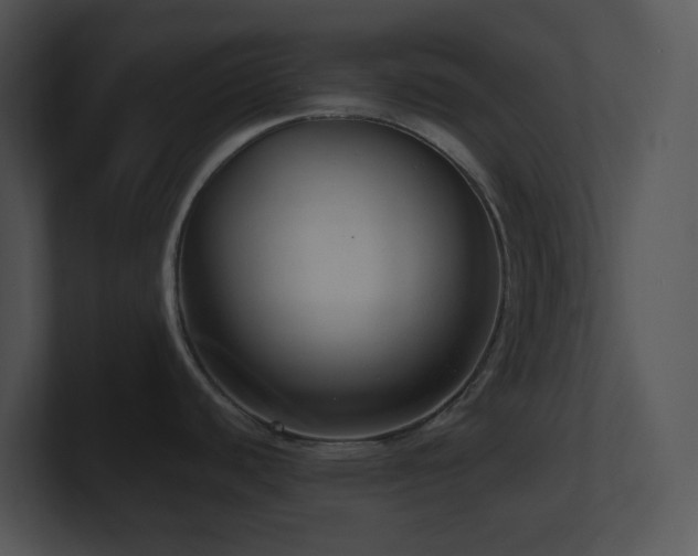 X0000100911440200806241304