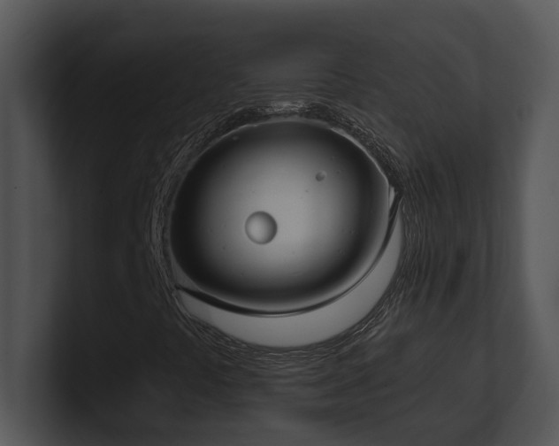 X0000100911441200806241303