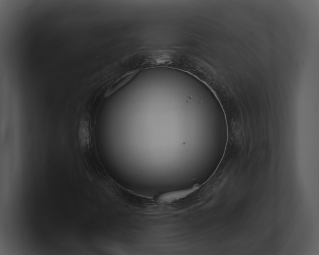 X0000100911442200806241303