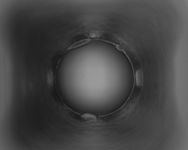 X0000100911443200806241303
