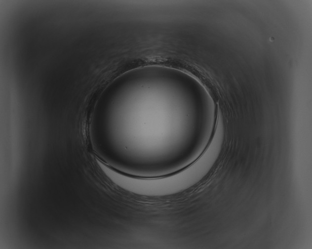 X0000100911444200806241303