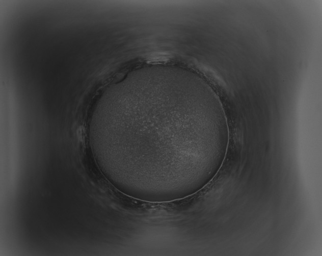 X0000100911445200806241303