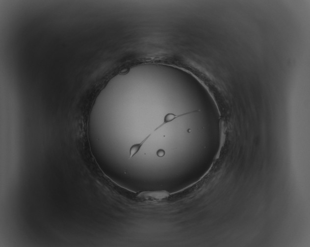 X0000100911447200806241303