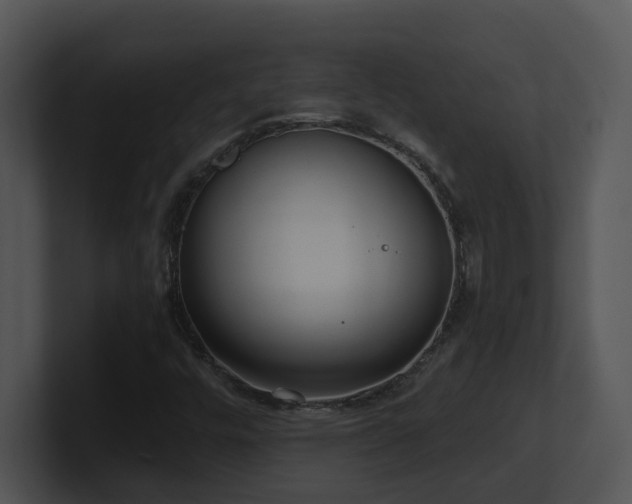 X0000100911448200806241303