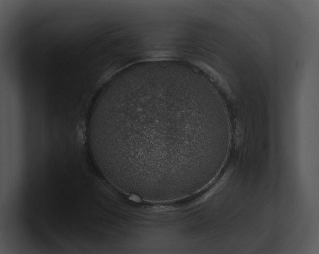 X0000100911449200806241303