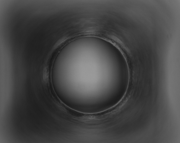 X0000100911450200806241303
