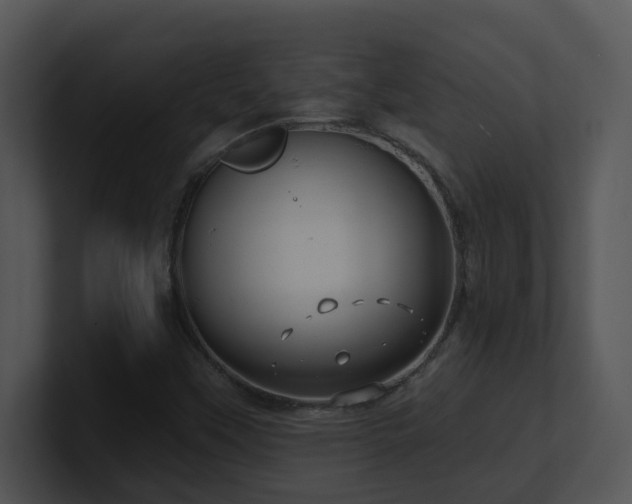 X0000100911451200806241303