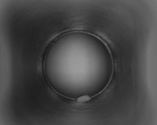 X0000100911452200806241303
