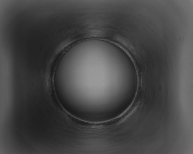 X0000100911453200806241303