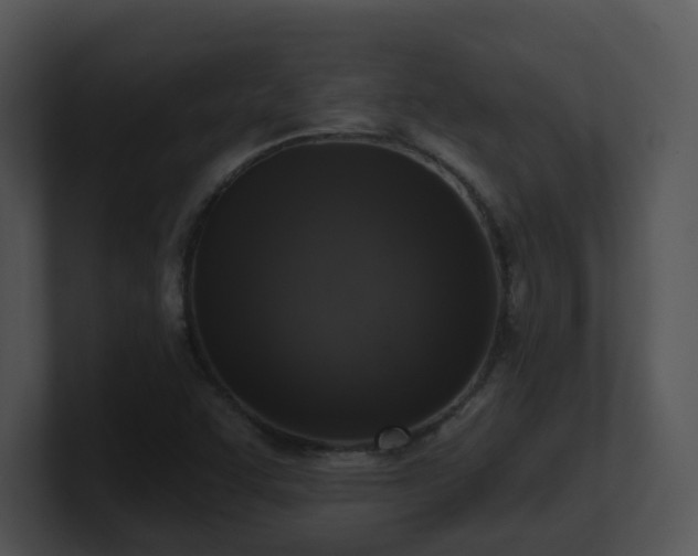 X0000100911455200806241303