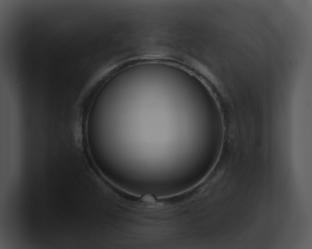 X0000100911456200806241303