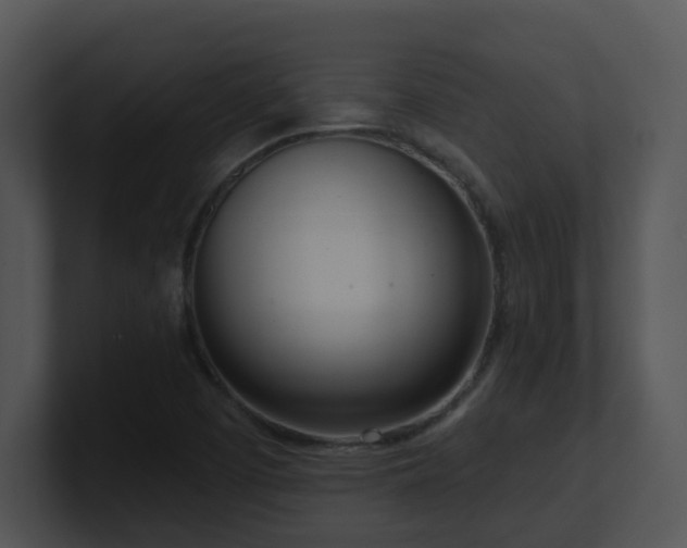 X0000100911457200806241303