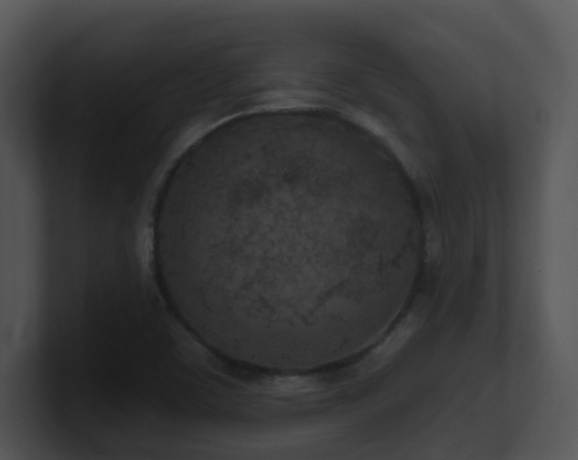 X0000100911459200806241303
