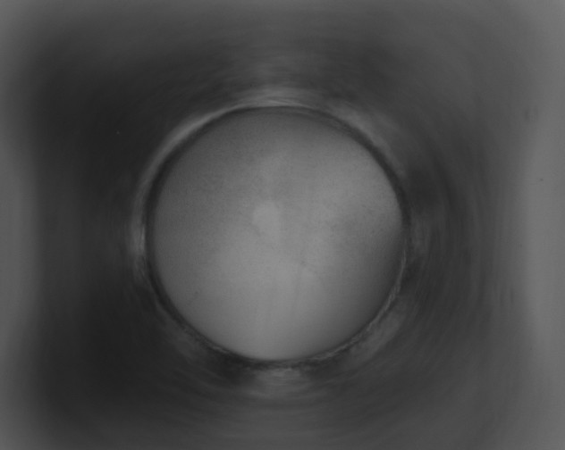 X0000100911462200806241303